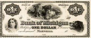 The Bank of Michigan